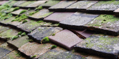 Shrewsbury roof repair costs